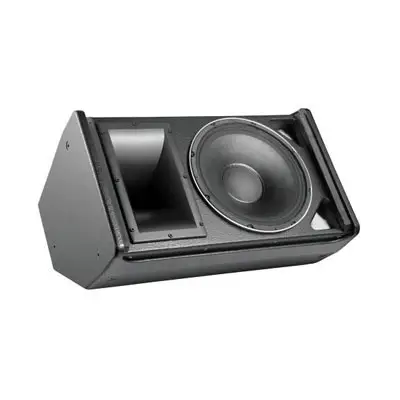 Real Sound 瑞耳嗓 MS-12X 多用途二分频扬声器系统 专1